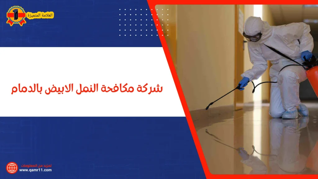 شركة مكافحة النمل الابيض بالدمام